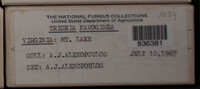 Image Associated With the Occurence